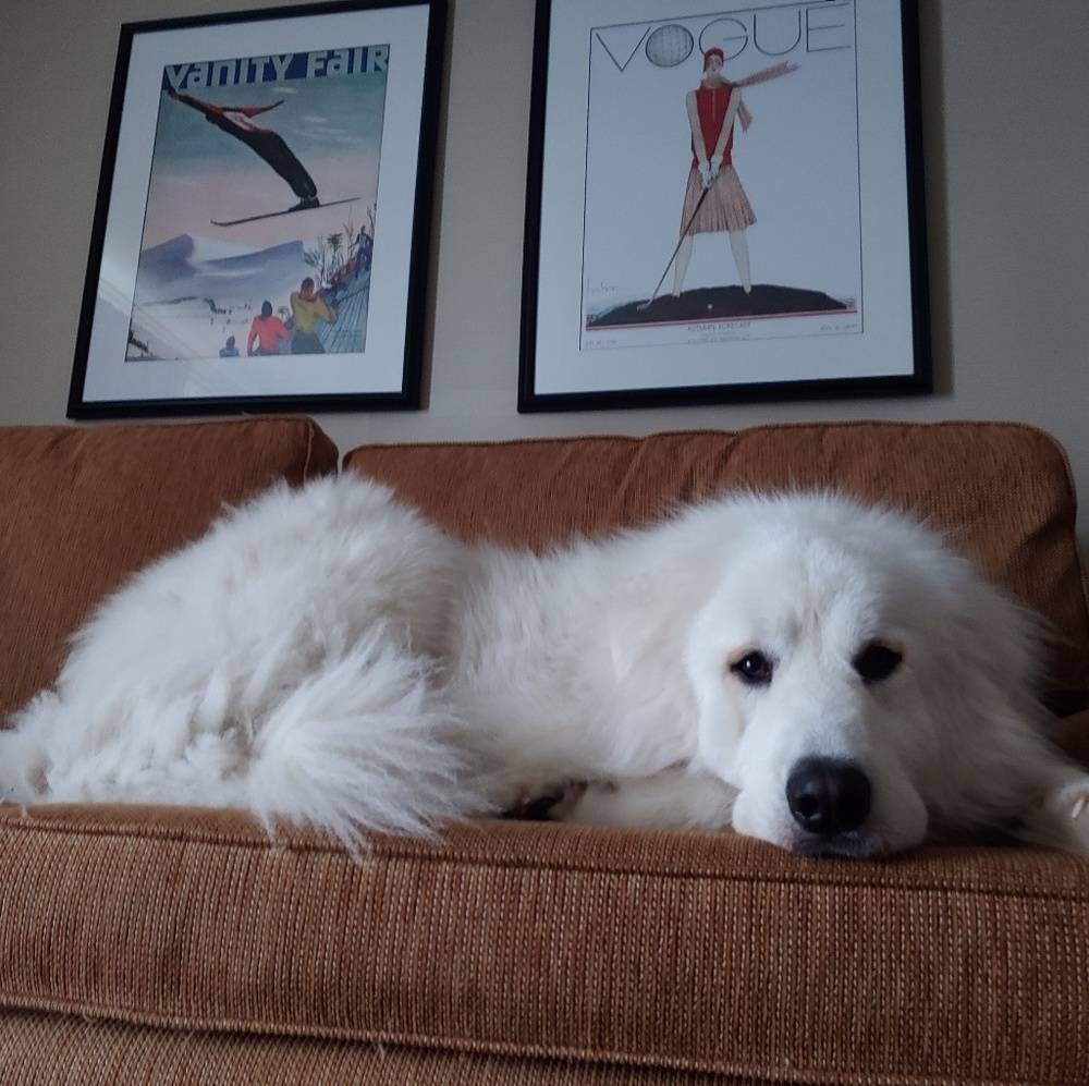 Meet your Posher, Rachele